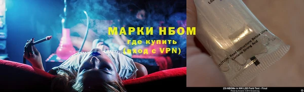 шишки Бородино