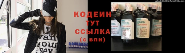 шишки Бородино
