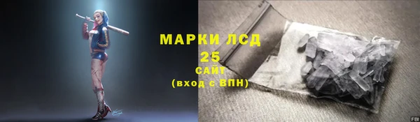 шишки Бородино