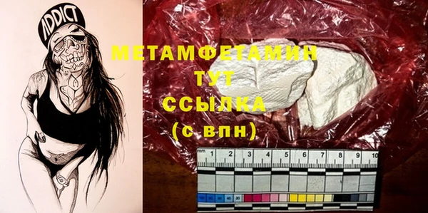 шишки Бородино