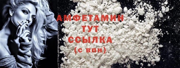 шишки Бородино