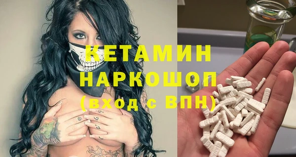шишки Бородино